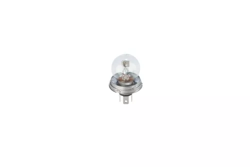 BOSCH Bulb, headlight (1987302023)