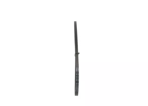 BOSCH V-Belt (1987947641)