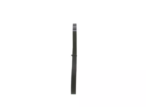 BOSCH V-Ribbed Belt (1 987 947 916)