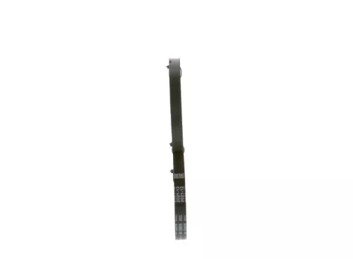 BOSCH V-Belt (1 987 947 668)