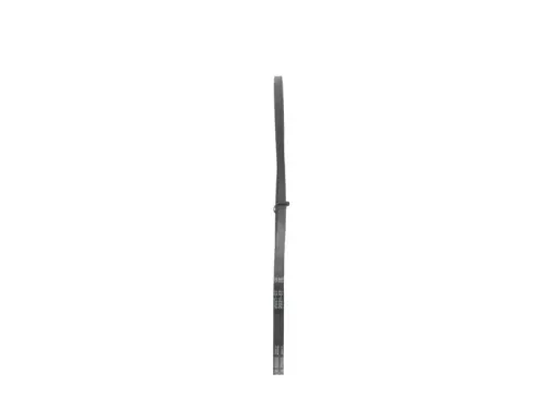 BOSCH V-Belt (1 987 947 699)