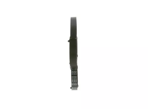 BOSCH V-Ribbed Belt (1987948311)