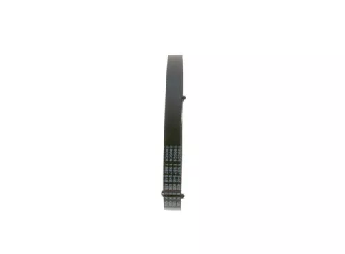BOSCH V-Ribbed Belt (1987948435)