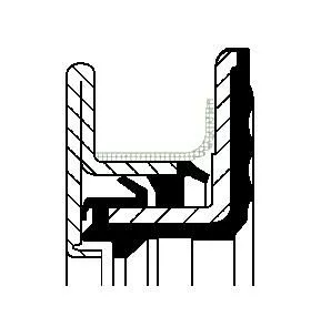 CORTECO Shaft Seal, crankshaft (12029818)
