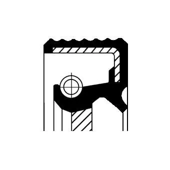 CORTECO Shaft Seal, camshaft (19036722B)
