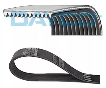 DAYCO V-Ribbed Belt (12PK1730HD)