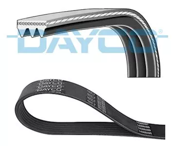DAYCO V-Ribbed Belt (3PK576EE)