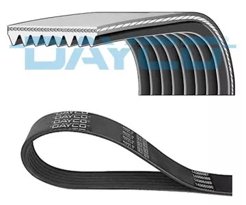 DAYCO V-Ribbed Belt (8PK1570HD)