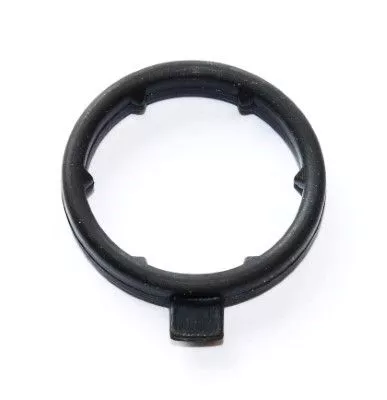 Gasket, coolant flange