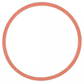ELRING Gasket, intake manifold (570.516)