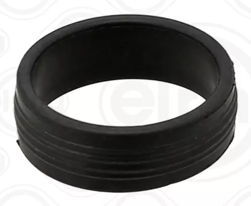 Seal Ring, injector