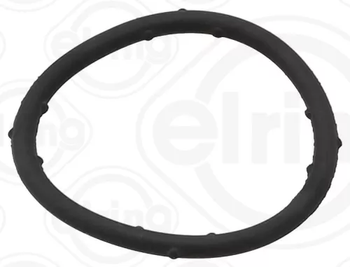 Gasket, coolant flange