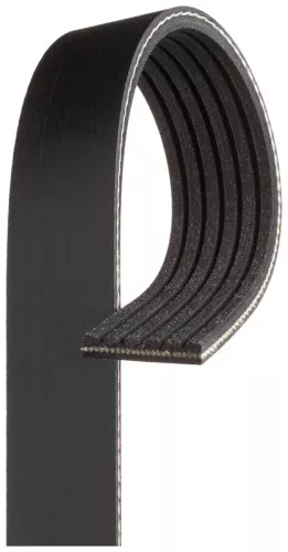 GATES V-Ribbed Belt (6PK1124SF)