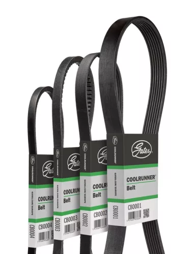 GATES V-Belt (CB0060)