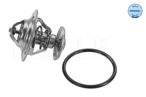 Thermostat, coolant