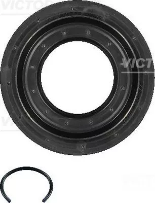 VICTOR REINZ Shaft Seal, differential (15-31193-01)