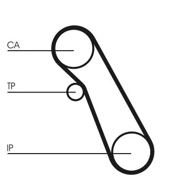 CONTINENTAL CTAM Timing Belt (CT983)