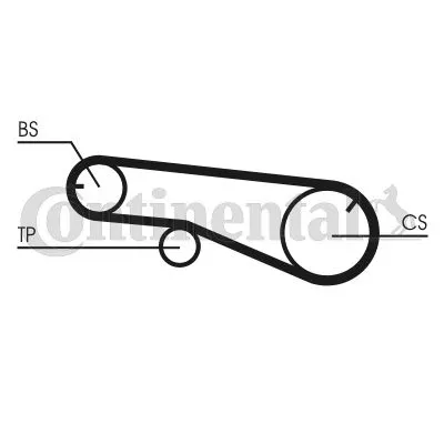 Timing Belt