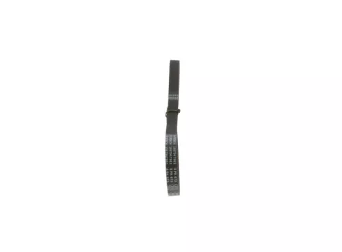 V-Ribbed Belt