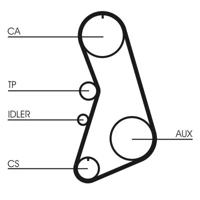 CONTINENTAL CTAM Timing Belt (CT919)