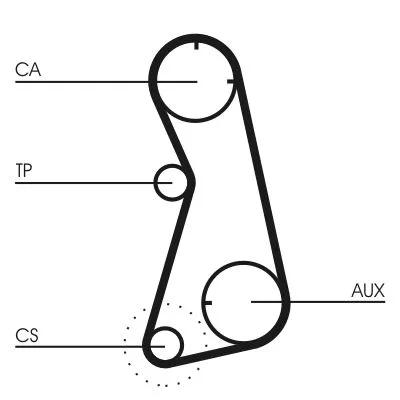 Timing Belt