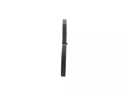 BOSCH V-Ribbed Belt (1987947891)