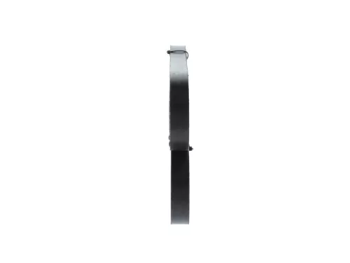 BOSCH V-Ribbed Belt (1987946029)