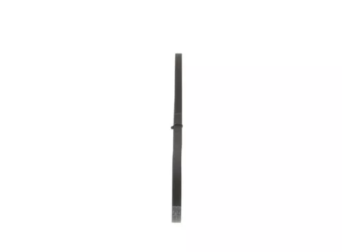 BOSCH V-Ribbed Belt (1987947808)