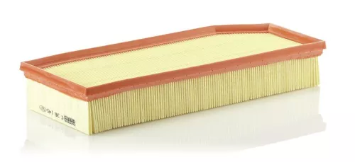 MANN-FILTER Air Filter (C38145)