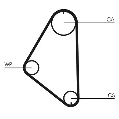 Timing Belt