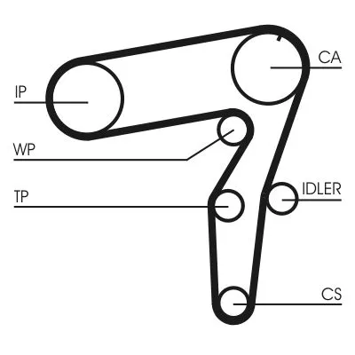 CONTINENTAL CTAM Timing Belt (CT968)