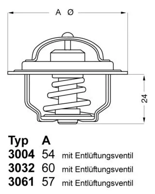 BorgWarner (Wahler) Thermostat, coolant (3032.80)