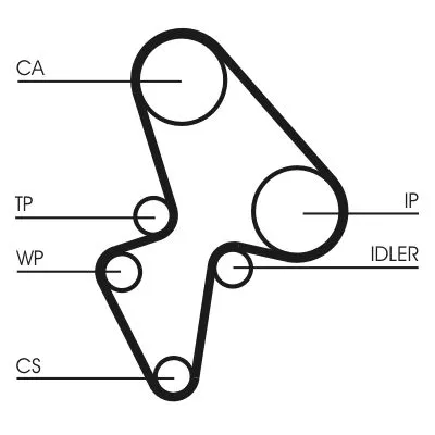 CONTINENTAL CTAM Timing Belt (CT906)