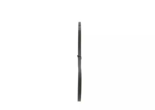 BOSCH V-Belt (1987947689)