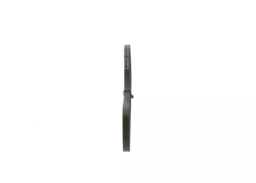 BOSCH V-Belt (1987947680)