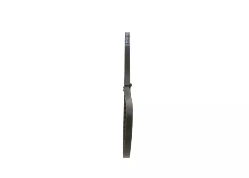 BOSCH V-Belt (1987947633)