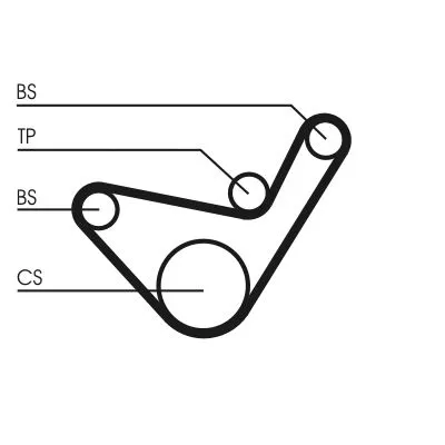 CONTINENTAL CTAM Timing Belt (CT1107)