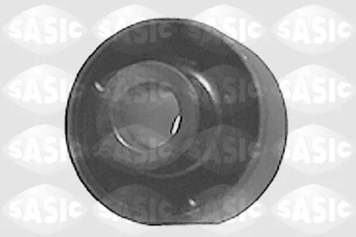 Mounting, control/trailing arm