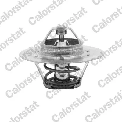 CALORSTAT by Vernet Thermostat, coolant (4608.80/J)