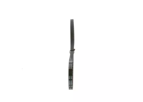 BOSCH V-Belt (1987947687)