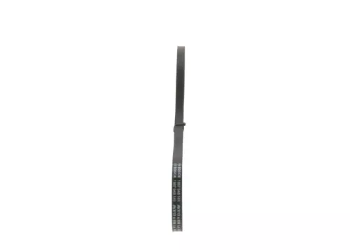 BOSCH V-Belt (1987948141)