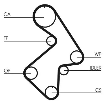 Timing Belt