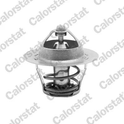 CALORSTAT by Vernet Thermostat, coolant (5075.82/J)