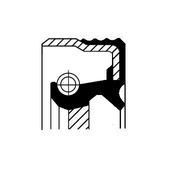 CORTECO Shaft Seal, crankshaft (12012248)