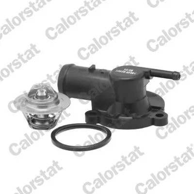 Thermostat, coolant