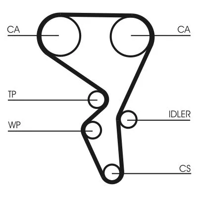 Timing Belt Kit