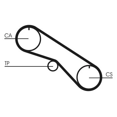 Timing Belt