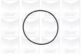 GRAF Water Pump, engine cooling (PA572)