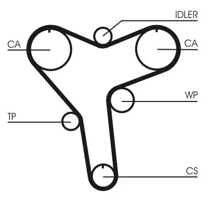 Timing Belt