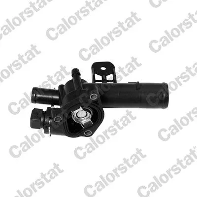 CALORSTAT by Vernet Thermostat, coolant (6393.89J)